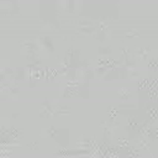Live Stream