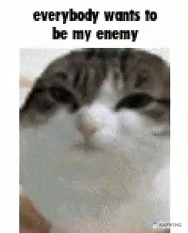 Meme